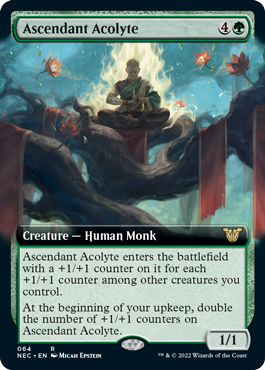 Ascendant Acolyte - Extended Art