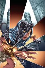 Pantha #3 Cvr K Barrionuevo Ltd Virgin (STL219248)