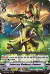 Anthurium Musketeer, Gastone - D-VS04/082EN - RRR