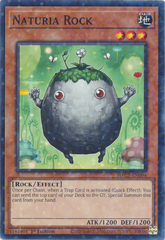 Naturia Rock - HAC1-EN094 - Common - 1st Edition (Duel Terminal)