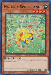 Naturia Spiderfang - HAC1-EN098 - Common - 1st Edition