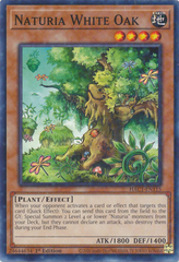 Naturia White Oak - HAC1-EN115 - Common - 1st Edition (Duel Terminal)