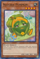 Naturia Pumpkin - HAC1-EN117 - Common - 1st Edition