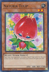 Naturia Tulip - HAC1-EN104 - Common - 1st Edition (Duel Terminal)