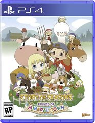 Story of Seasons: Friends of Mineral Town