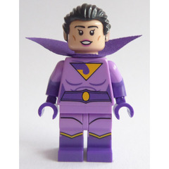 LEGO Wonder twin Jayna Minifigure