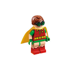 LEGO Robin - Green Glasses, Smile / Worried Pattern - Dimensions Story Pack Minifigure