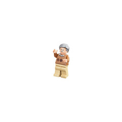 LEGO Vernon Dursley Minifigure
