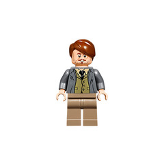 LEGO Professor Remus Lupin Minifigure