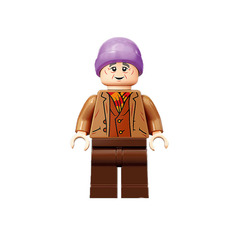 LEGO Mr Flume Minifigure