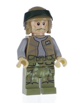 LEGO Endor Rebel Soldier 2 Minifigure