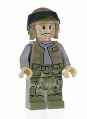 LEGO Endor Rebel Soldier 2 Minifigure