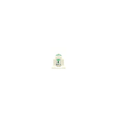 LEGO R2-R7 Minifigure