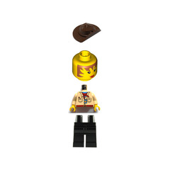 LEGO Pippin Read Minifigure