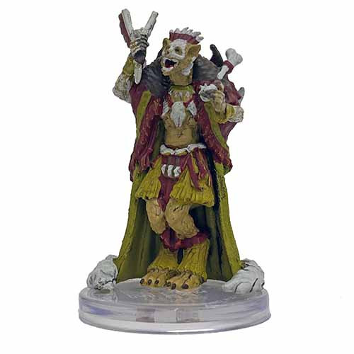 Witch Gnoll Bonekeeper - 23