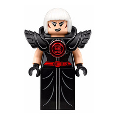 LEGO Magpie Minifigure