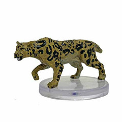 Leopard - 08