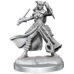 Female Tiefling Rogue (Wave1)