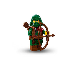 LEGO Rogue Set 71013-11