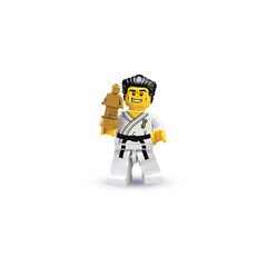 LEGO Karate Master Set 8684-14