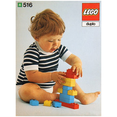LEGO Bricks and half bricks Set 516