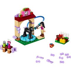 LEGO Foal's Washing Station Set 41123