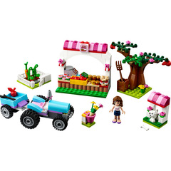 LEGO Sunshine Harvest Set 41026