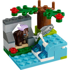 LEGO Brown Bears River Set 41046