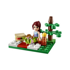 LEGO Summer Picnic Set 30108