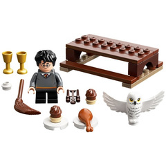 LEGO Harry Potter and Hedwig: Owl Delivery Set 30420