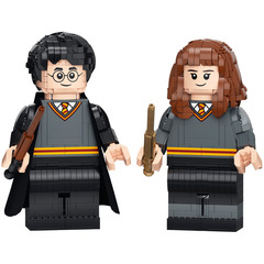 LEGO Harry Potter & Hermione Granger Set 76393