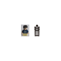 LEGO Harry Potter Advent Calendar Set 75964-1 Subset Day 1 - Harry Potter