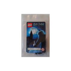 LEGO Voldemort Minifigure Set VSDCC1