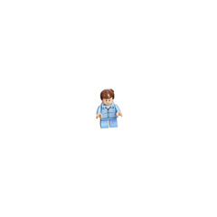 LEGO Harry Potter Advent Calendar Set 76390-1 Subset Day 6 - Dudley Dursley