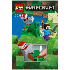 LEGO Steve and Creeper Set 30393