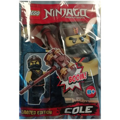 LEGO Cole Set 891839