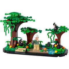 LEGO Jane Goodall Tribute Set 40530
