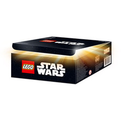 LEGO Surprise Box Set 5005704