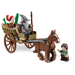 LEGO Gandalf Arrives Set 9469