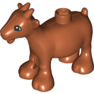 Goat, No. 4 - Dark Orange