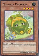 Naturia Pumpkin - STBL-EN031 - Common - 1st Edition