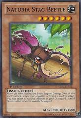 Naturia Stag Beetle - STBL-EN032 - Common - 1st Edition