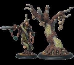 PIP72043 HRD CoO Cassius the Oathkeeper & Wurmwood, Tree of Fate Box