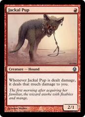 Jackal Pup - Foil