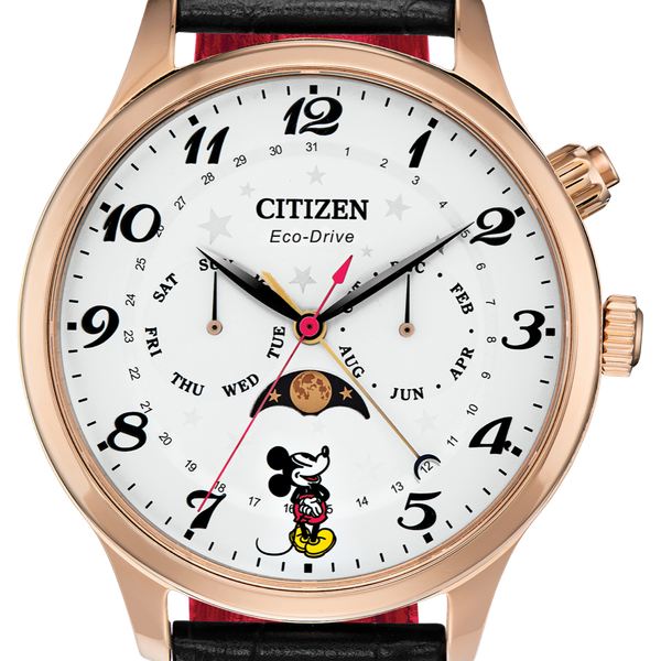 Citizen AO9020-84E - Eco-Drive