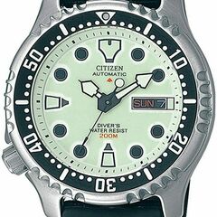 Citizen NY0040-09W - Promaster