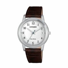 Citizen FE6011-14A - Eco-Drive Ladies