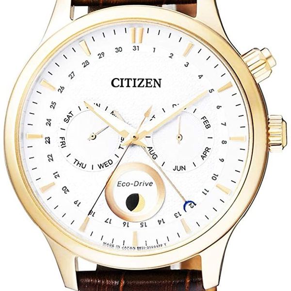 Citizen AP1052-00A - Eco-Drive Calendar