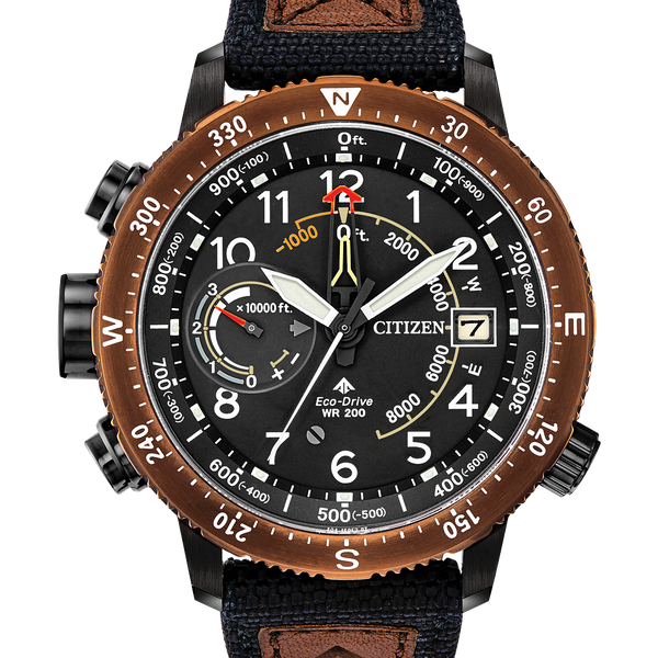 Citizen BN5055-05E - Promaster Altichron