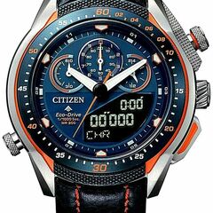 Citizen JW0149-10L - Promaster Land